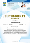 Сертификат за I место в фестивале-конкурсе "Юный шахматист"